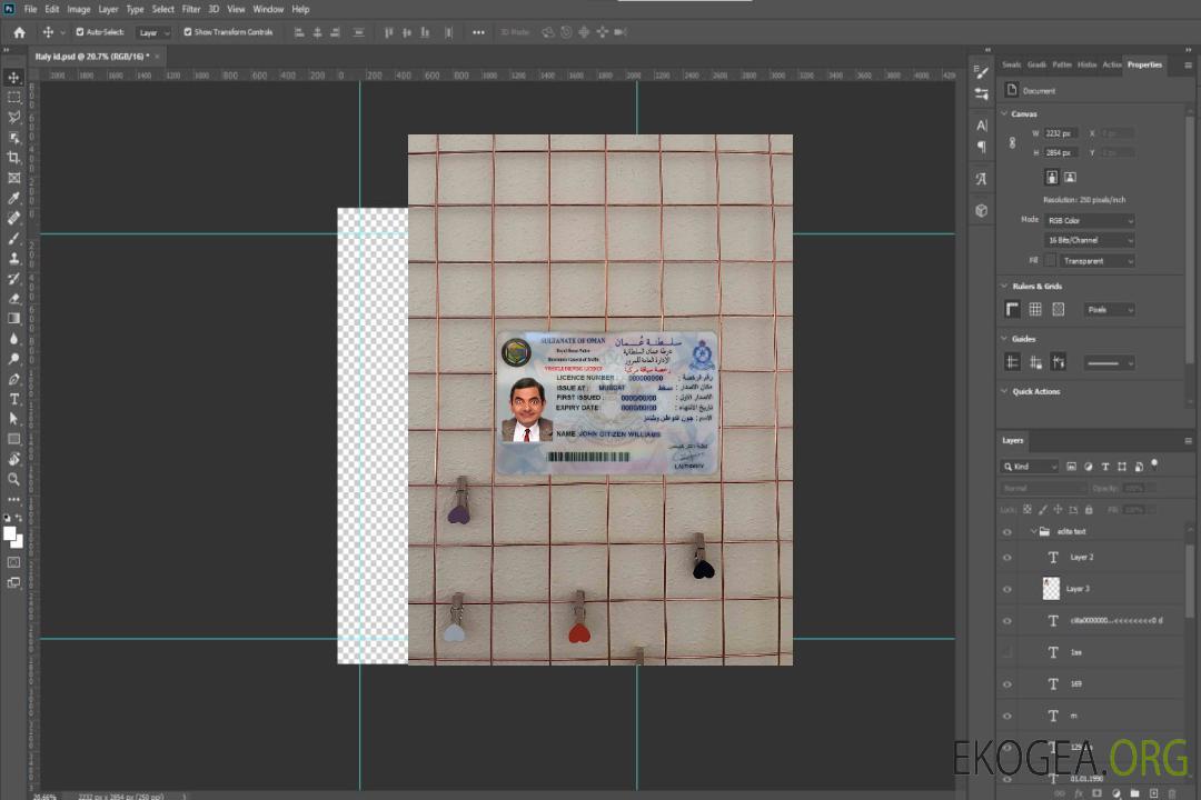 Oman DL photolook AVANT template